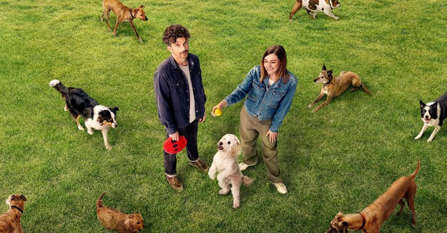 Dog Park
