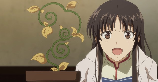 Seijo no Maryoku wa Bannou Desu