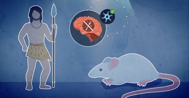 Fasten - Ein Phänomen wird erforscht