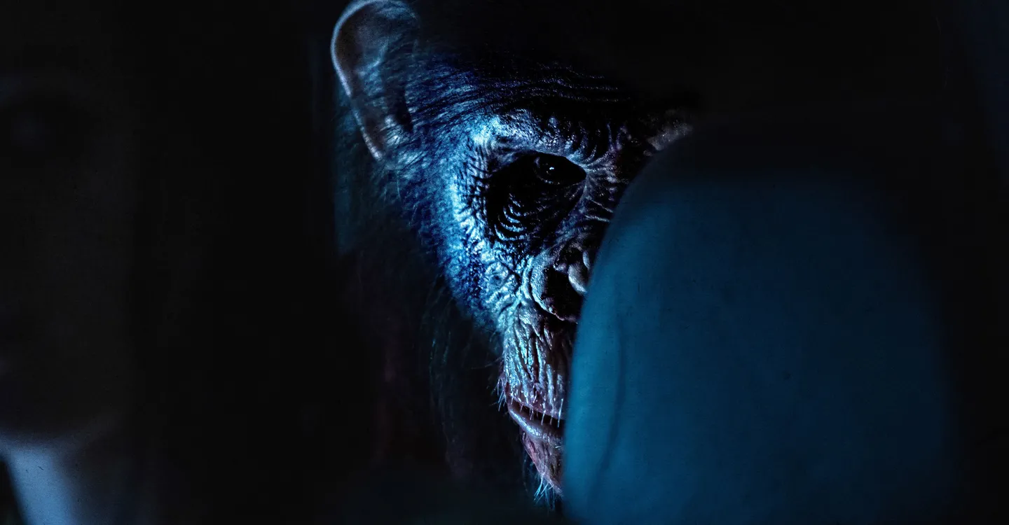 'Primate' And 8 Wild, Unforgettable Animal Attacks In Movies