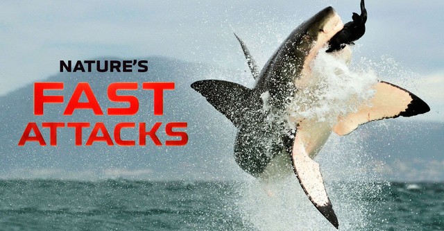 Nature's Fast Attacks