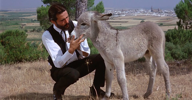 Platero y yo