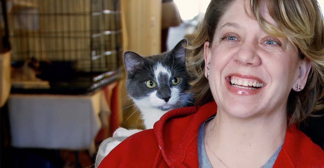 The Cat Rescuers