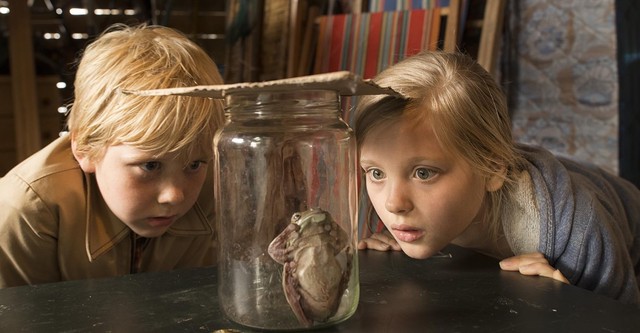Hilfe, unser Lehrer ist ein Frosch