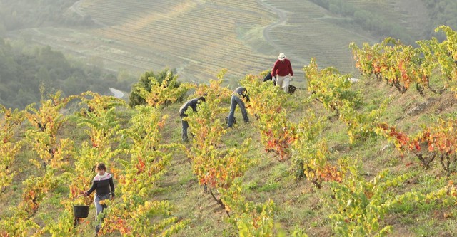 Priorat