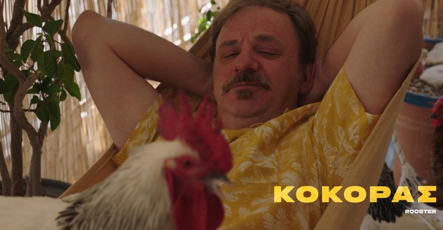 Rooster