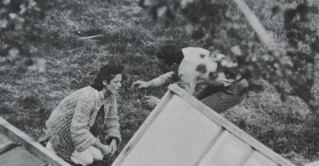 The Enclosure