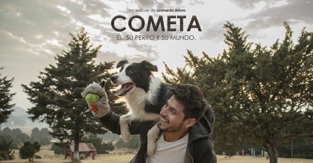 Comet: Him, His Dog and His World