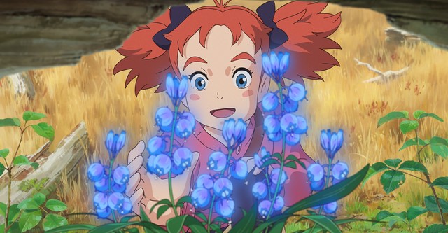 Mary and The Witch's Flower