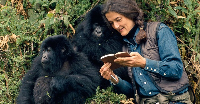 Dian Fossey: Geheimnisse im Nebel