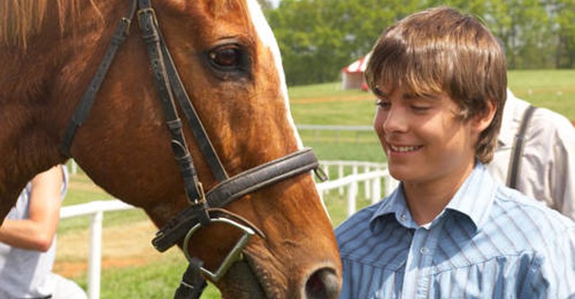 The Derby Stallion