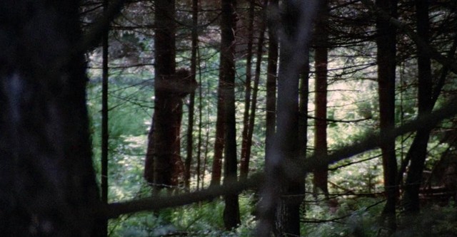 Dark August