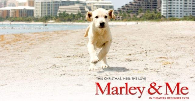 Marley & Me 2 - Pentuvuodet