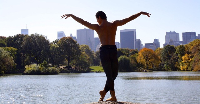 Anatomy of a Male Ballet Dancer