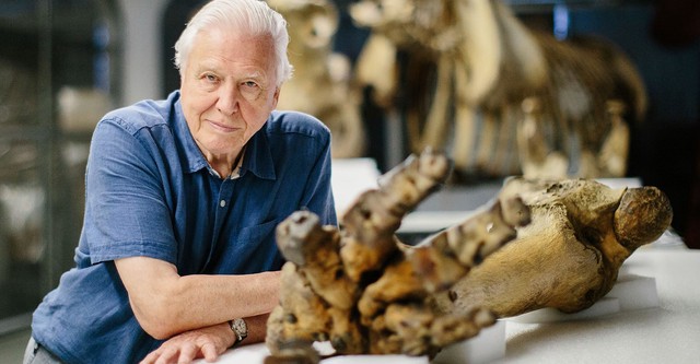 Attenborough and the Giant Elephant