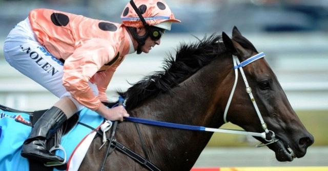 Black Caviar - The Horse of a Lifetime