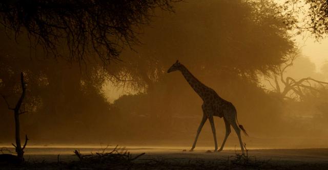 Namibia's Desert Kingdom