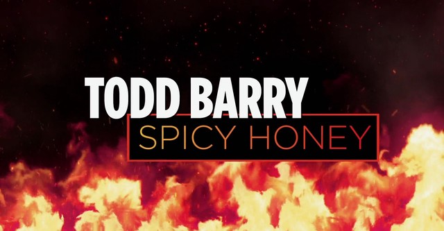 Todd Barry: Spicy Honey