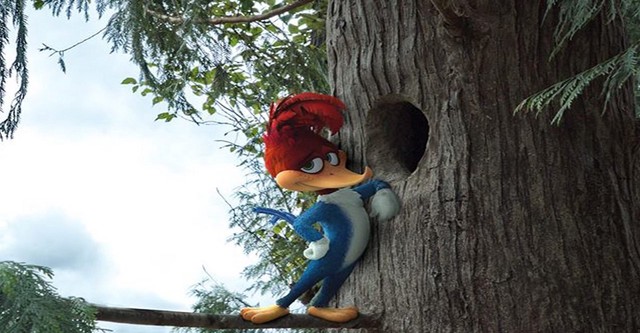 Woody Woodpecker