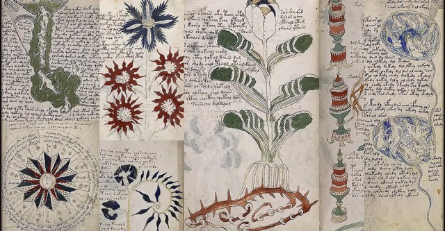 Das Voynich-Manuskript - Die geheimnisvollste Handschrift der Welt