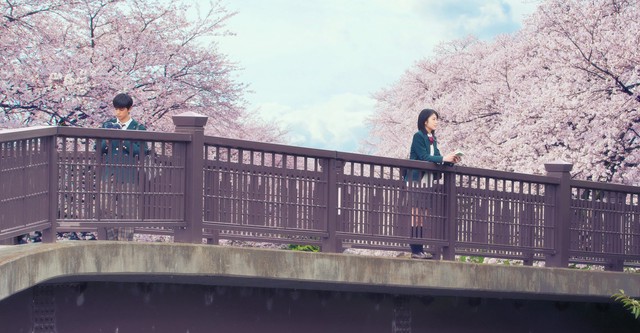 Let Me Eat Your Pancreas