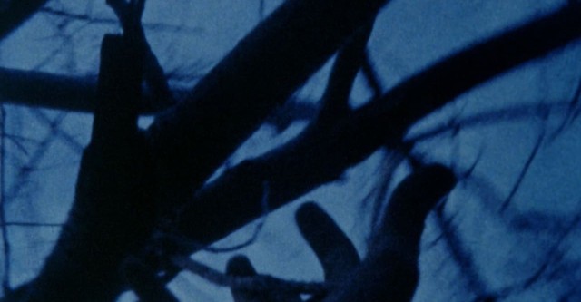 Anticipation of the Night