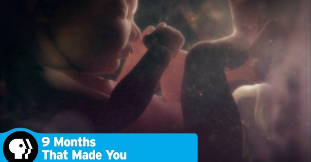 9 Months That Made You streaming tv show online