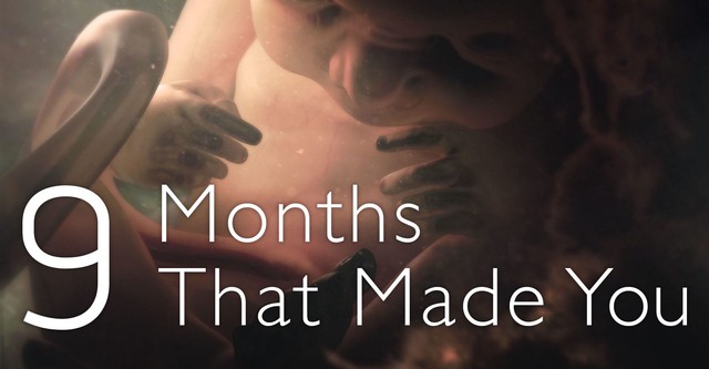 9 Months That Made You