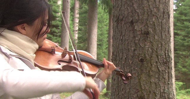 Stradivarius: Mysteries Of The Supreme Violin