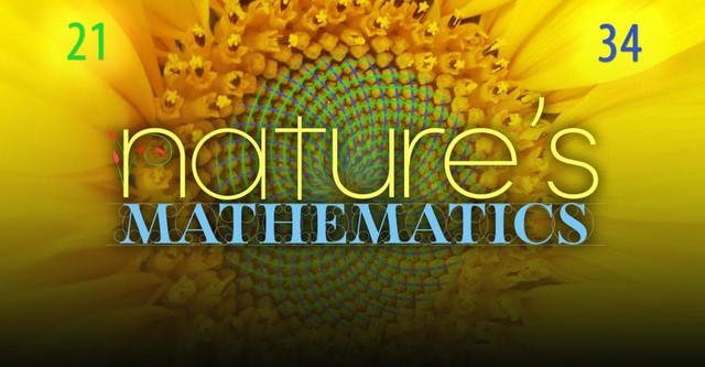 Nature's Mathematics