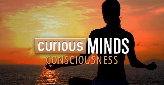 Curious Minds: Consciousness