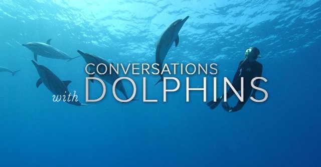 Conversations with Dolphins