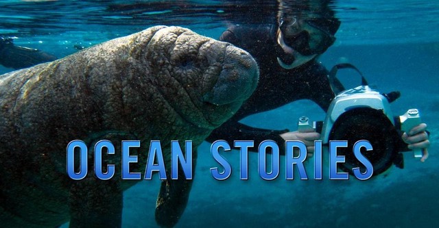 Ocean Stories