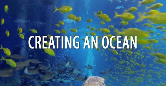 Creating An Ocean