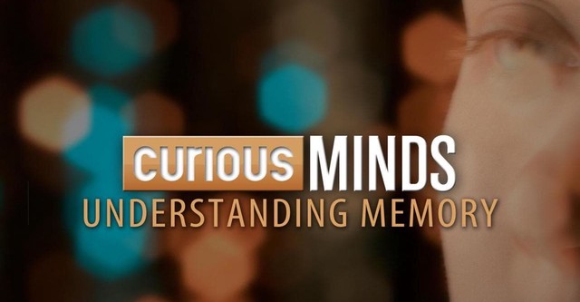 Curious Minds: Understanding Memory