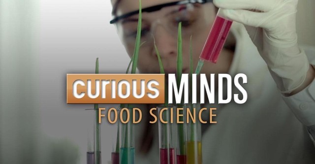 Curious Minds: Food Science