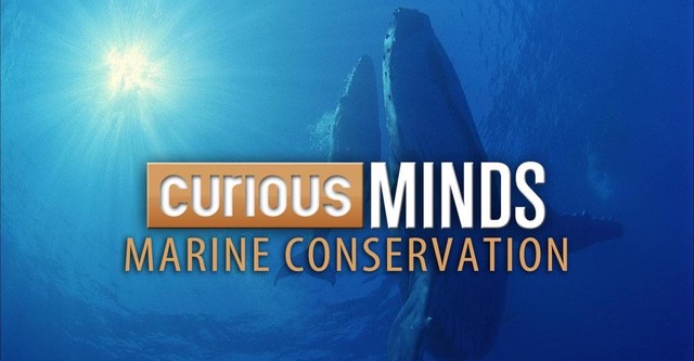 Curious Minds: Marine Conservation