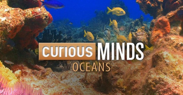 Curious Minds: Oceans