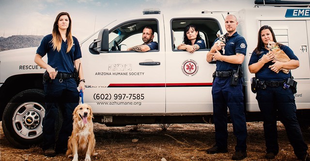 Animal Cops: Phoenix