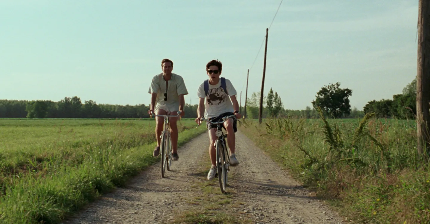 The 10 Best Timothée Chalamet Movies, Ranked