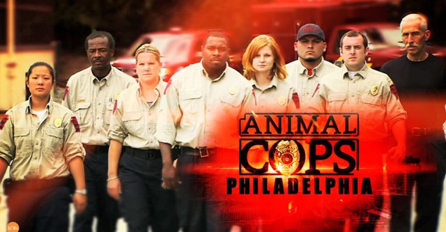 Animal Cops: Philadelphia