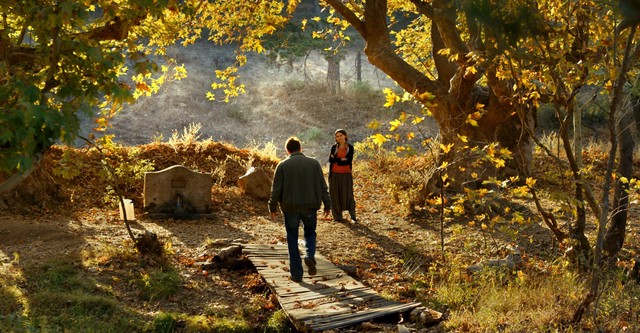 L'albero dei frutti selvatici