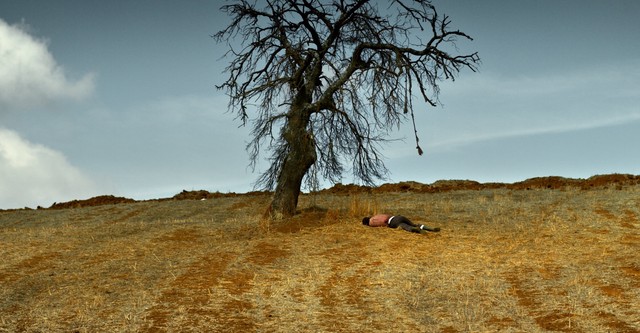 El árbol de peras silvestres