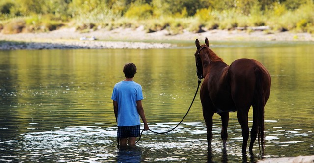 Lean on Pete