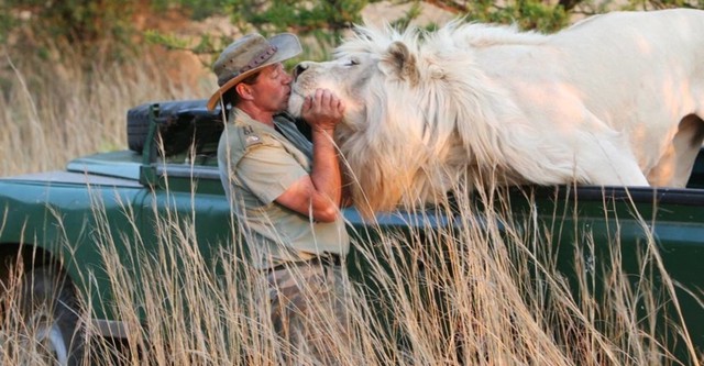 The Lion Man: African Safari