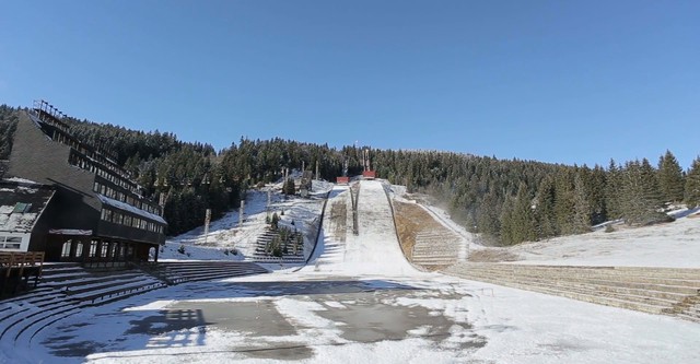 La Grande Extase du sculpteur sur bois Steiner