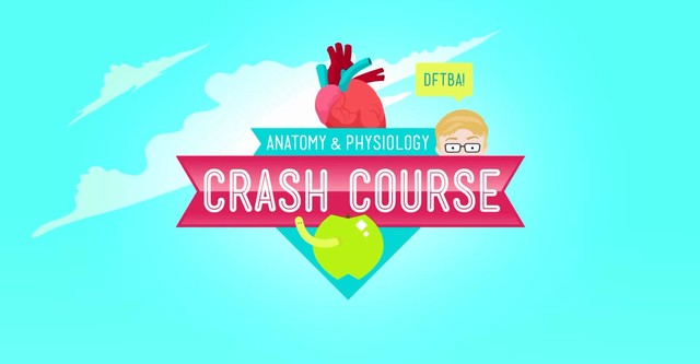 Crash Course Anatomy & Physiology