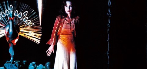 How to Watch all Suspiria Movies In Order