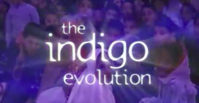 The Indigo Evolution