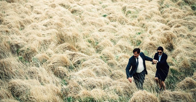 The Lobster: Eine unkonventionelle Liebesgeschichte